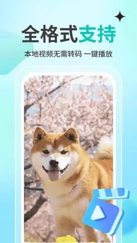 ˽˹Ӱplayer(Ӱ)v1.1.4 ٷͼ