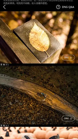 Koloro滤镜大师调色(影像调色工具) Koloro滤镜大师调色(影像调色工具)