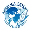 ANGELICA ASTER2025ٷv1.17.2 Ѱ