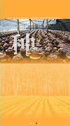 ɭũ(ũۺϷ)v1.0.12 Ѱͼ