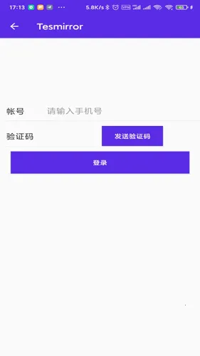 Tesmirror2025ذװv1.0.13_release ٷͼ