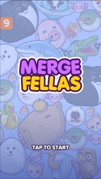 mergefellasɽϲ(ϳɴϷ)