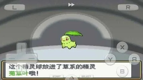 ڴĽ(ڴֶսϷ)v3.0 ֻͼ