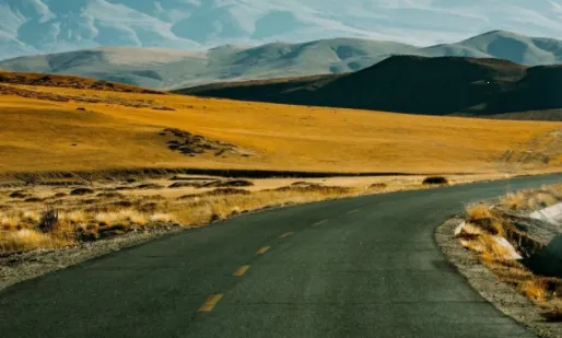 打谷剧场2025官方正版 打谷剧场2025官方正版