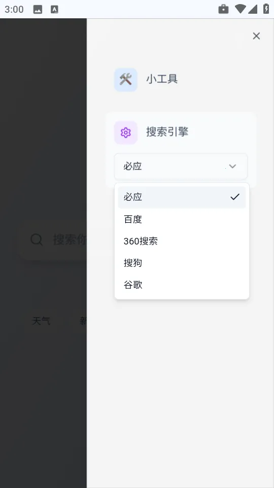 Qing浏览器(轻量级浏览器) Qing浏览器(轻量级浏览器)