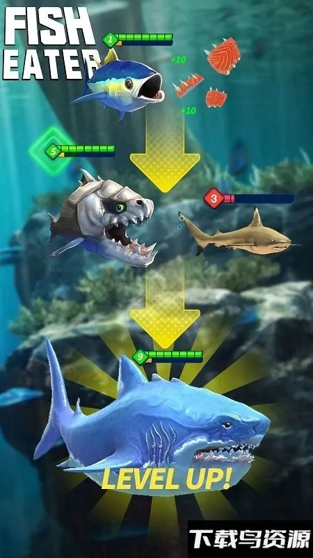 鲨鱼进化论(鲨鱼进化游戏) 鲨鱼进化论(鲨鱼进化游戏)