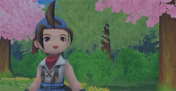 牧场物语蜜糖村与大家的心愿