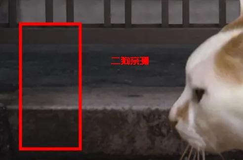 翌日猫之怪奇谭(猫咪解谜冒险游戏) 翌日猫之怪奇谭(猫咪解谜冒险游戏)