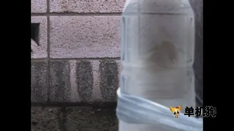 ����è֮����̷(è�����ð����Ϸ)v1.0 �ٷ������ͼ