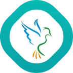 �ֻ�ͨ�����ֻ���v4.0.037 �ٷ�����