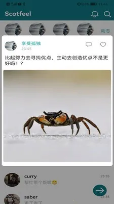 Scotfeel�罻2025�ٷ�����v1.0.5 �ٷ������ͼ