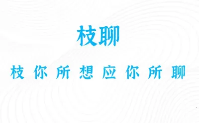 枝聊2025下载安装 枝聊2025下载安装