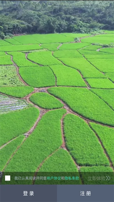 ����ɭ���˻�2025���ذ�װv3.8.6 �ٷ������ͼ