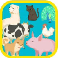 ����԰���ȼƻ���׿���ֻ���v1.00 ��׿��