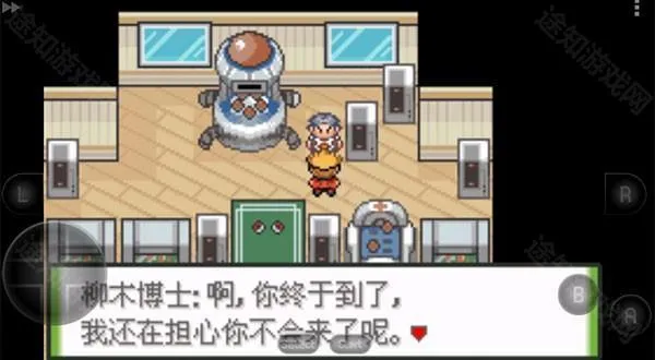 �ڴ�������ɫ��2025�ٷ�����