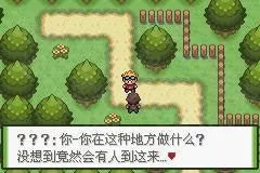 �ڴ�������ɫ��2025�ٷ�����