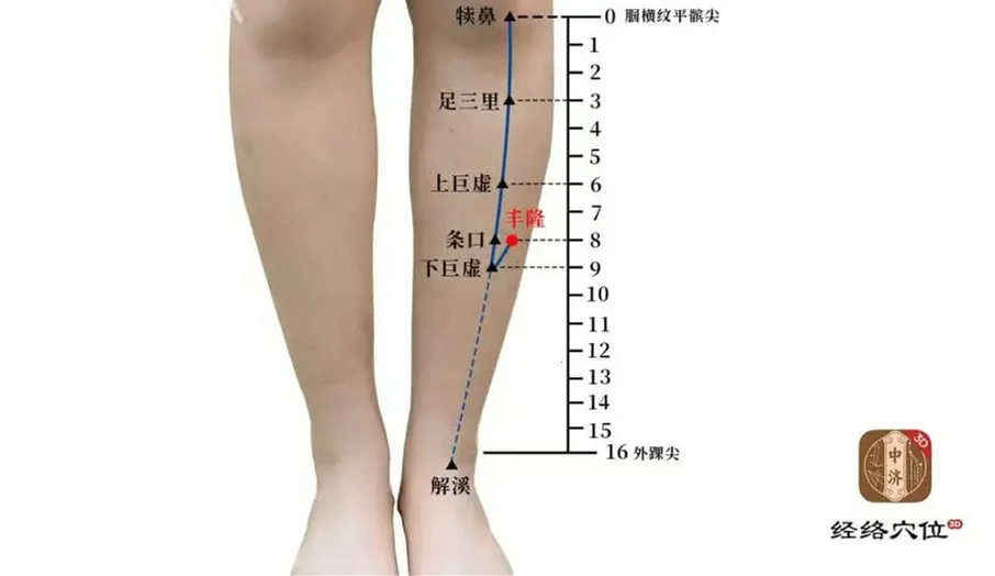 知源经络穴位2025最新版本 知源经络穴位2025最新版本