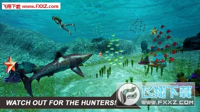 ����ģ����(����ģ����Ϸ)v2.708.880 �ٷ������ͼ