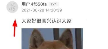 藏玉(和田玉交流平台) 藏玉(和田玉交流平台)