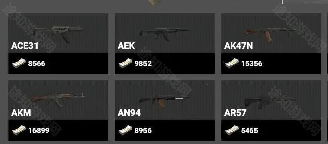 �޹�ͻΧ(ǹս�������)