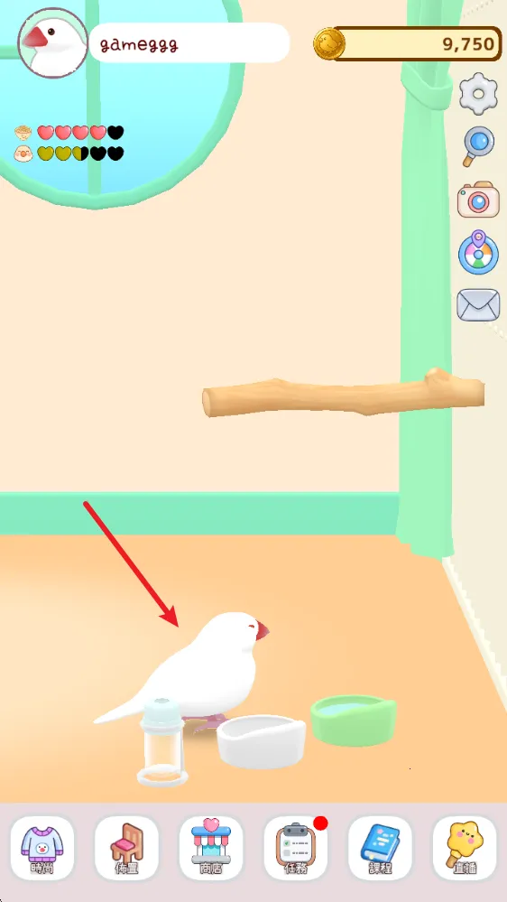 ��������2025�ٷ����°汾