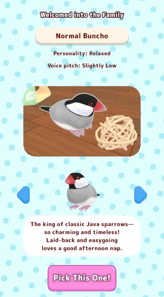 ��������2025�ٷ����°汾v1.1 ��׿���ͼ