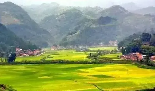 鹿乡融媒2025官方最新版本 鹿乡融媒2025官方最新版本