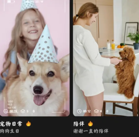 短视频搬运助手2025官方正版 短视频搬运助手2025官方正版