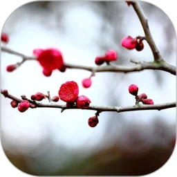 ÷�������ʼ�2026���°汾v1.5.4 ��Ѱ�