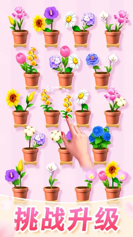 �廨����v1.00 �ٷ������ͼ