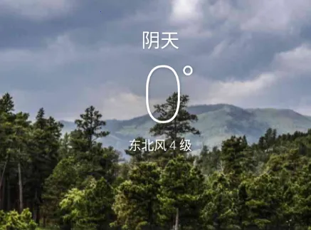 ��׼����2026�ٷ����°汾