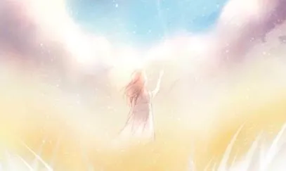 二次元贴纸2026官方最新版本 二次元贴纸2026官方最新版本