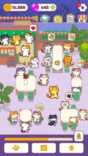 小猫厨房 小猫厨房