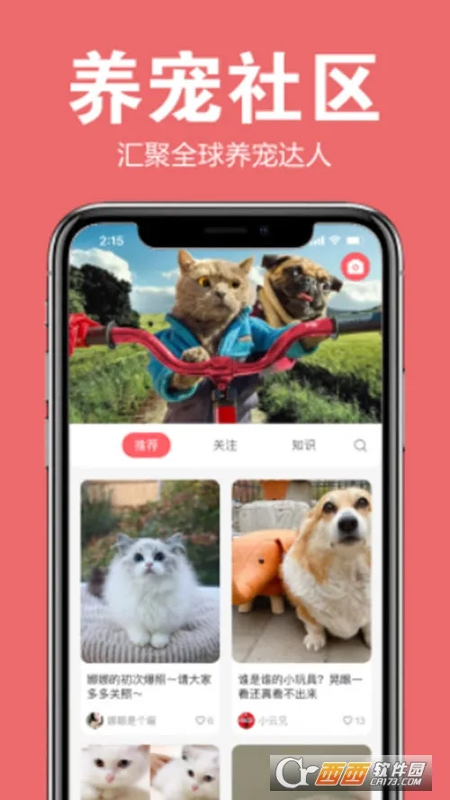宠可爱2026官方正版 宠可爱2026官方正版