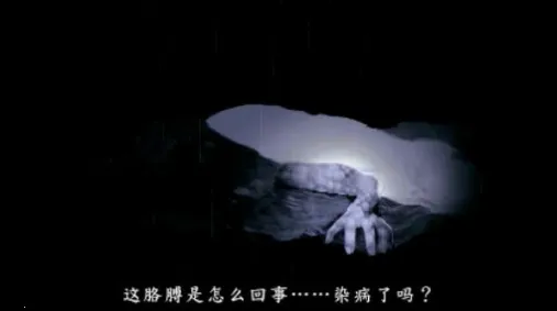 ʬ��������̷