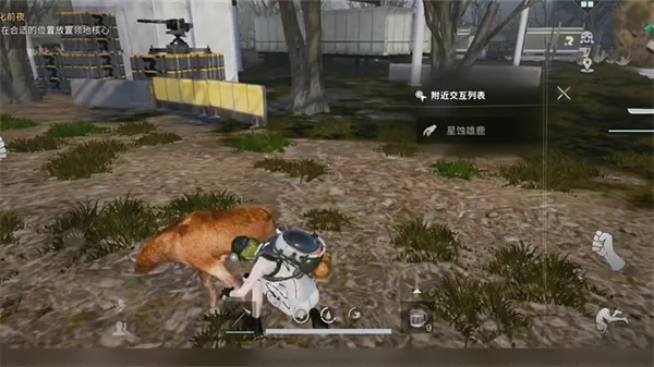 七日世界港 七日世界港