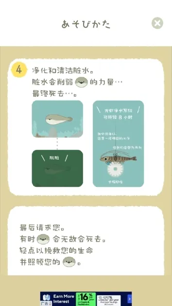 萨卡班甲鱼2026官方正版 萨卡班甲鱼2026官方正版