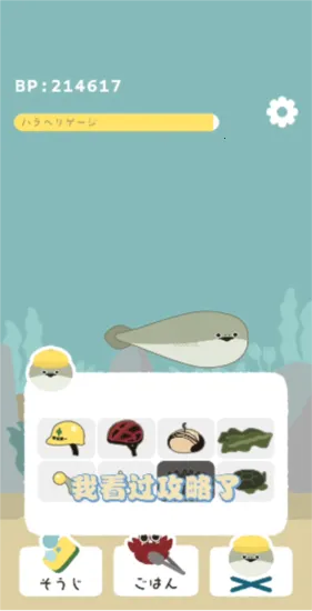 萨卡班甲鱼2026官方正版 萨卡班甲鱼2026官方正版