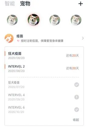 滴宠生活 滴宠生活