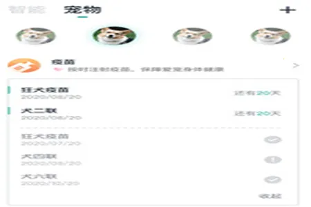 滴宠生活 滴宠生活