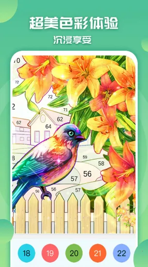 ��ɫ���С����