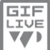 GIF Live Wallpaper2026���°汾v2.0.3 ��Ѱ�