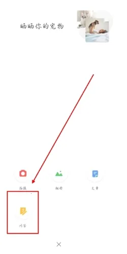 波奇宠物2026最新版本 波奇宠物2026最新版本