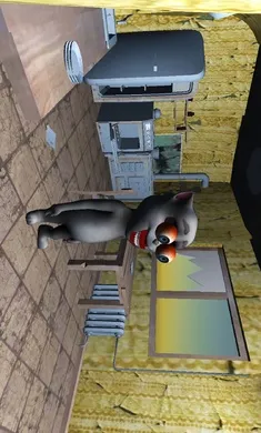 �ֲ��ĺ���2026�ٷ����°汾v1.0 ��׿���ͼ