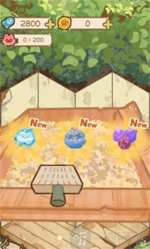 猫屋猫屎香 猫屋猫屎香