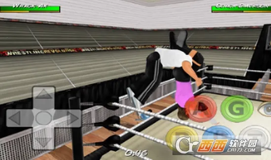 摔跤革命3d 摔跤革命3d