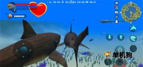 巨齿鲨模拟器最新手机版 巨齿鲨模拟器最新手机版