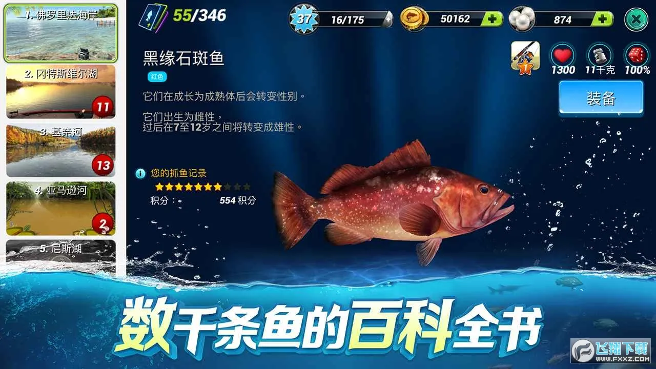 �����Ծ�
