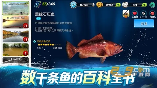 �����Ծ�
