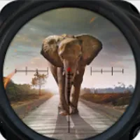 ����ģ����v3.250811.170 ��Ѱ�